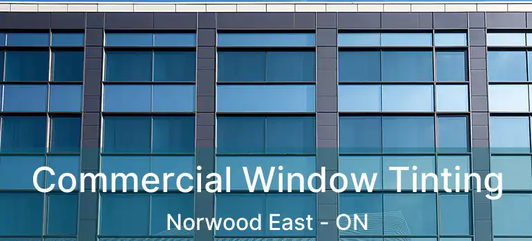  Commercial Window Tinting Norwood East - ON