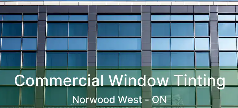  Commercial Window Tinting Norwood West - ON