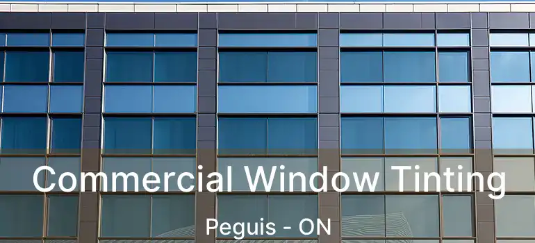  Commercial Window Tinting Peguis - ON