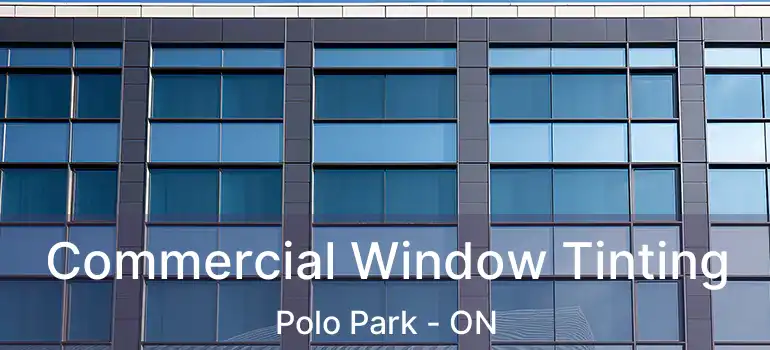  Commercial Window Tinting Polo Park - ON