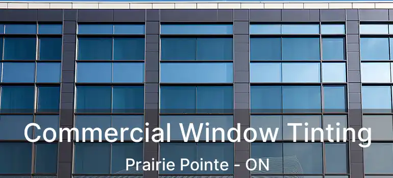  Commercial Window Tinting Prairie Pointe - ON