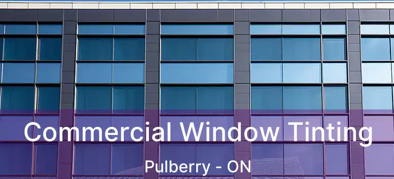  Commercial Window Tinting Pulberry - ON