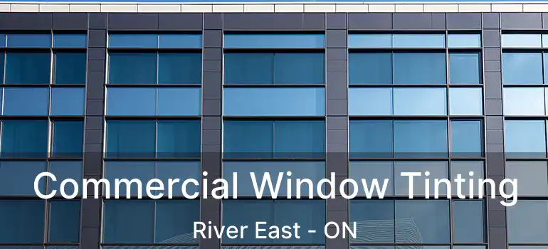  Commercial Window Tinting River East - ON