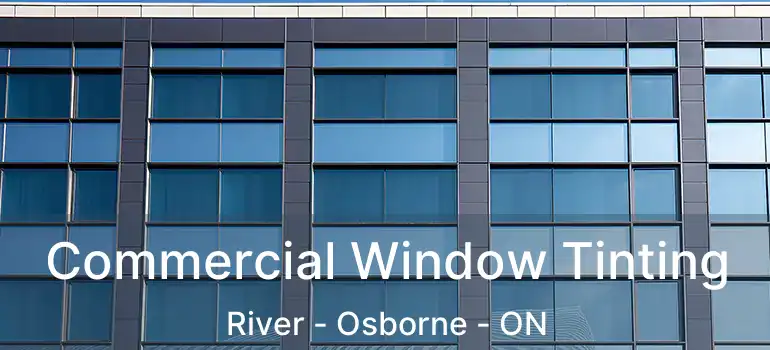  Commercial Window Tinting River - Osborne - ON