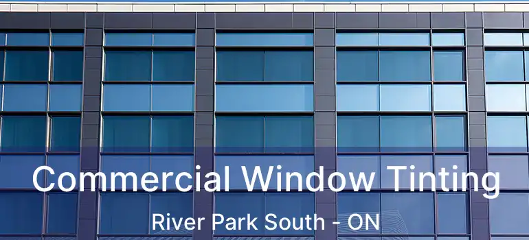  Commercial Window Tinting River Park South - ON