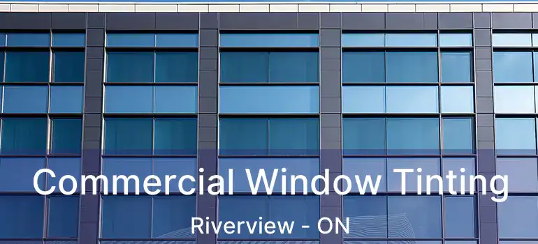  Commercial Window Tinting Riverview - ON