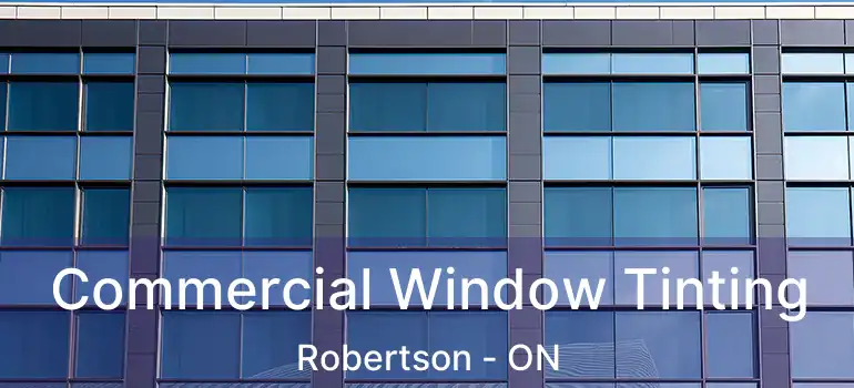  Commercial Window Tinting Robertson - ON