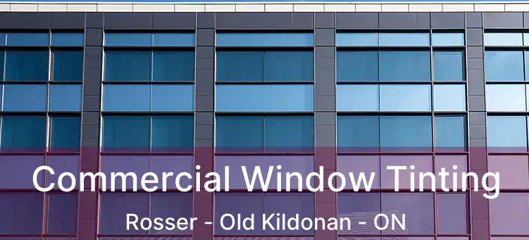  Commercial Window Tinting Rosser - Old Kildonan - ON