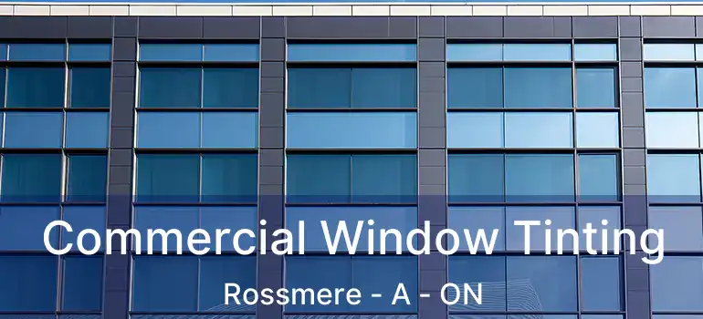  Commercial Window Tinting Rossmere - A - ON
