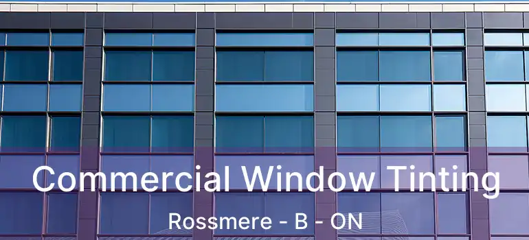 Commercial Window Tinting Rossmere - B - ON