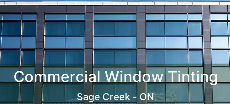  Commercial Window Tinting Sage Creek - ON