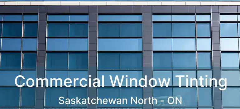  Commercial Window Tinting Saskatchewan North - ON