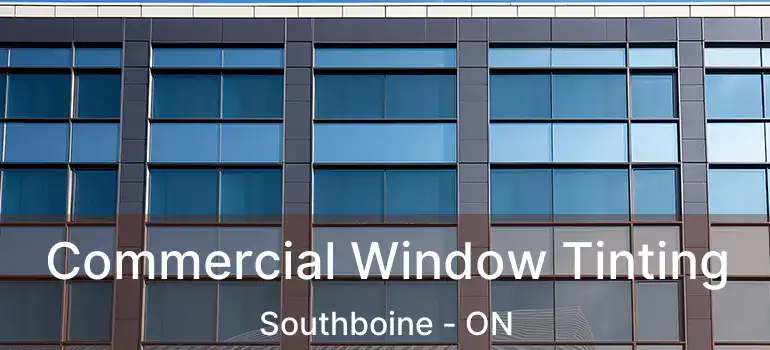  Commercial Window Tinting Southboine - ON