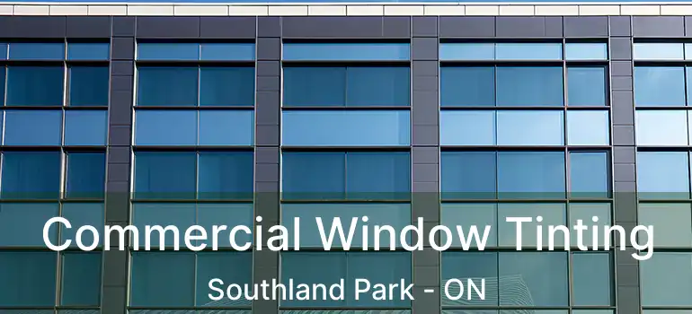  Commercial Window Tinting Southland Park - ON
