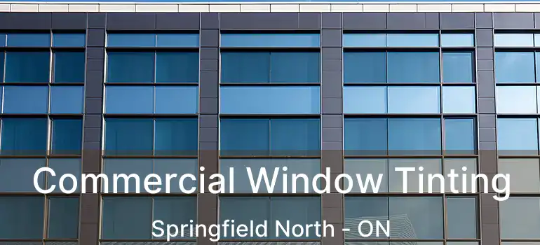  Commercial Window Tinting Springfield North - ON