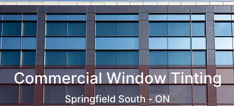  Commercial Window Tinting Springfield South - ON