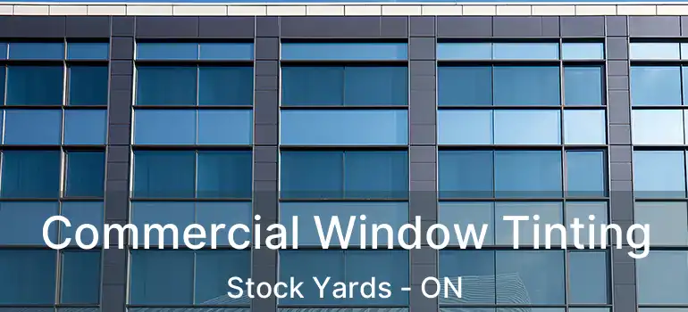  Commercial Window Tinting Stock Yards - ON