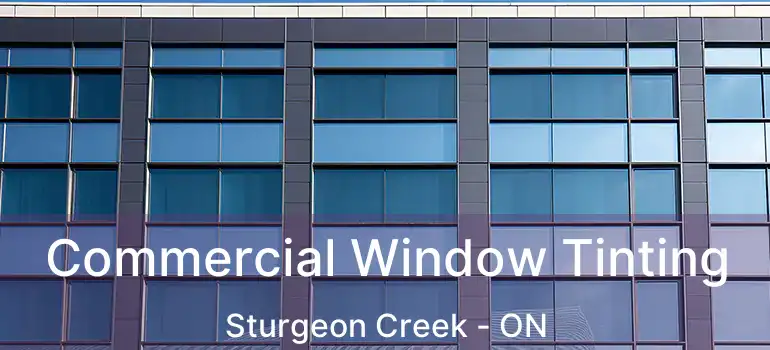  Commercial Window Tinting Sturgeon Creek - ON