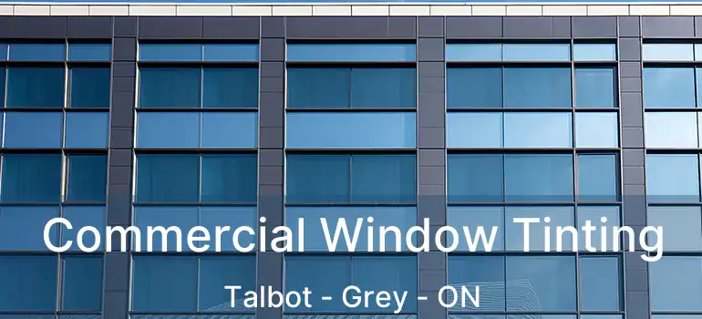  Commercial Window Tinting Talbot - Grey - ON