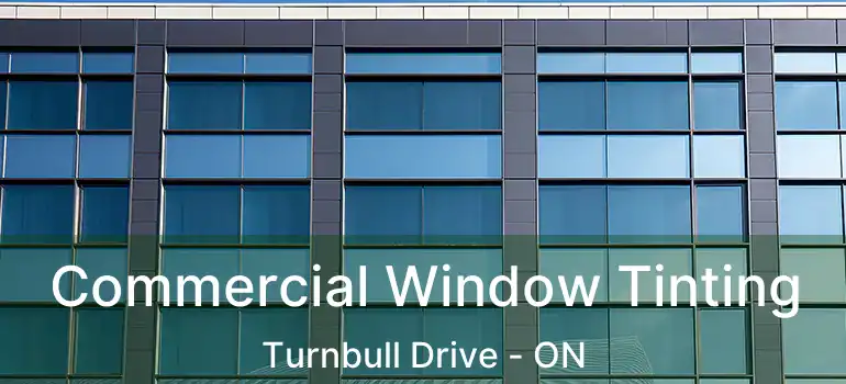  Commercial Window Tinting Turnbull Drive - ON