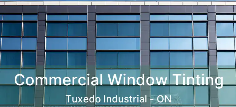  Commercial Window Tinting Tuxedo Industrial - ON