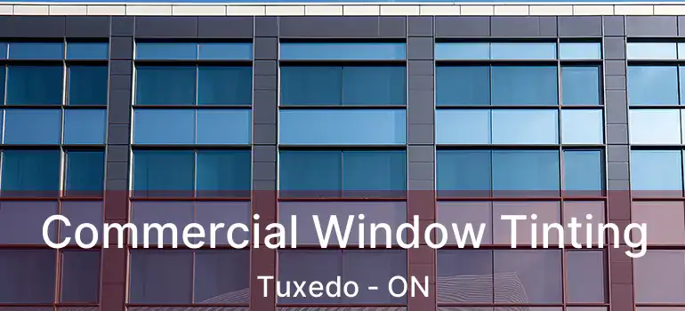  Commercial Window Tinting Tuxedo - ON