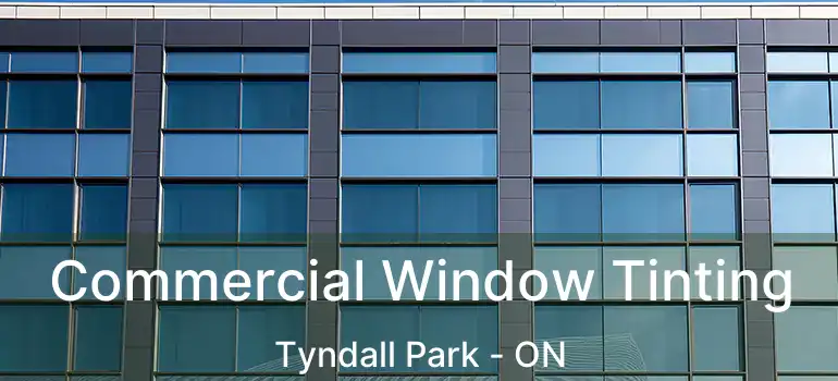  Commercial Window Tinting Tyndall Park - ON