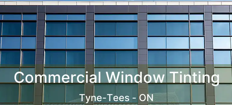  Commercial Window Tinting Tyne-Tees - ON