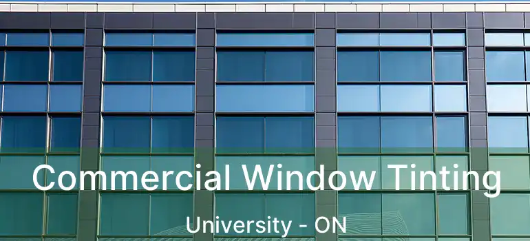  Commercial Window Tinting University - ON