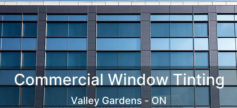  Commercial Window Tinting Valley Gardens - ON