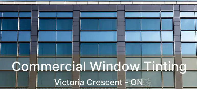  Commercial Window Tinting Victoria Crescent - ON