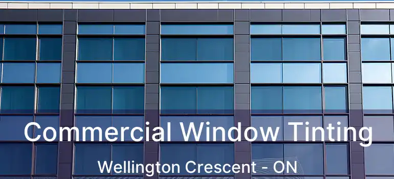  Commercial Window Tinting Wellington Crescent - ON