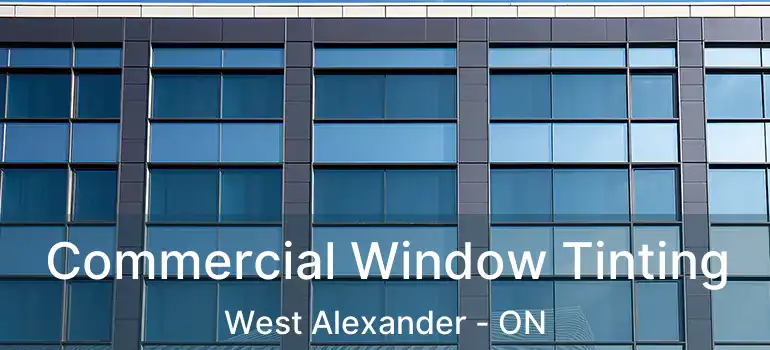  Commercial Window Tinting West Alexander - ON