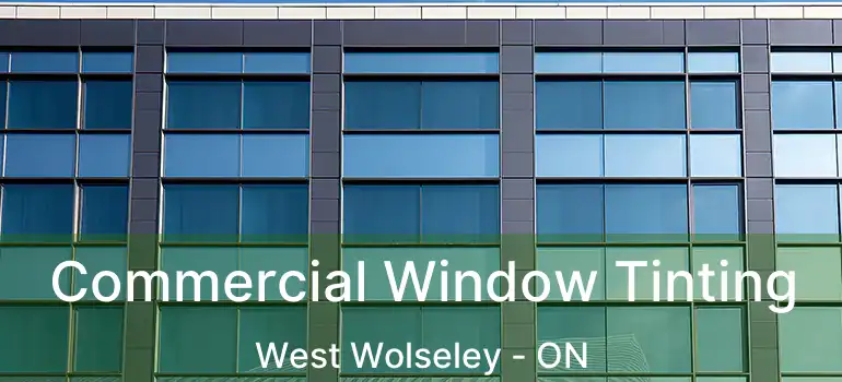  Commercial Window Tinting West Wolseley - ON