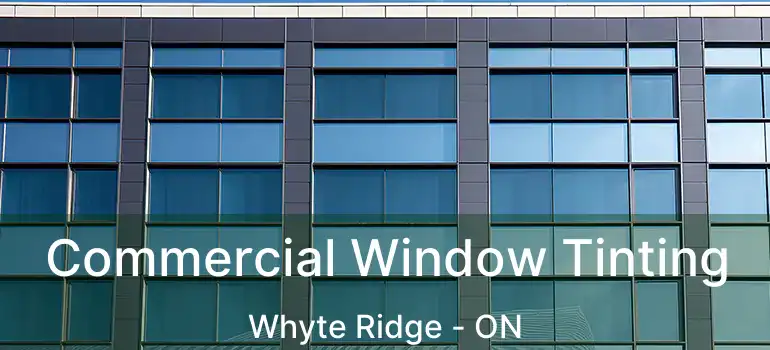  Commercial Window Tinting Whyte Ridge - ON