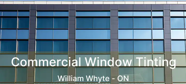  Commercial Window Tinting William Whyte - ON