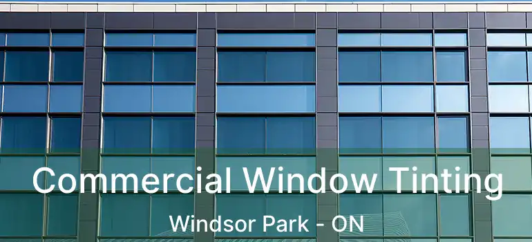  Commercial Window Tinting Windsor Park - ON