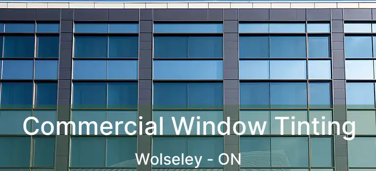  Commercial Window Tinting Wolseley - ON