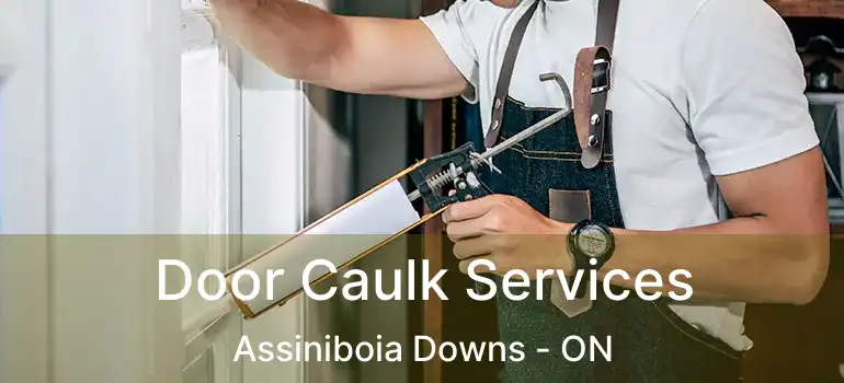  Door Caulk Services Assiniboia Downs - ON