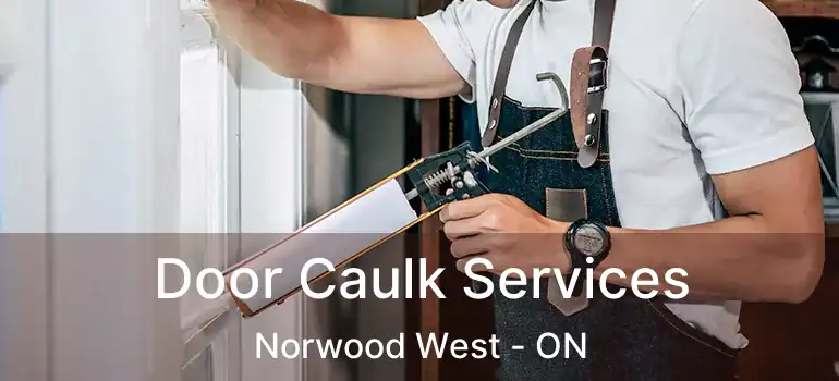  Door Caulk Services Norwood West - ON