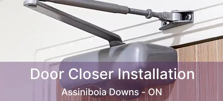  Door Closer Installation Assiniboia Downs - ON