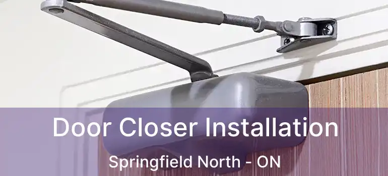 Door Closer Installation Springfield North - ON