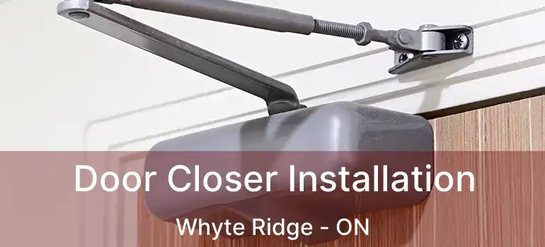  Door Closer Installation Whyte Ridge - ON