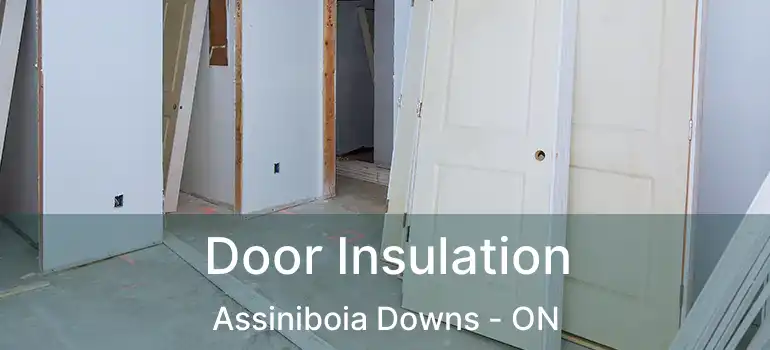  Door Insulation Assiniboia Downs - ON