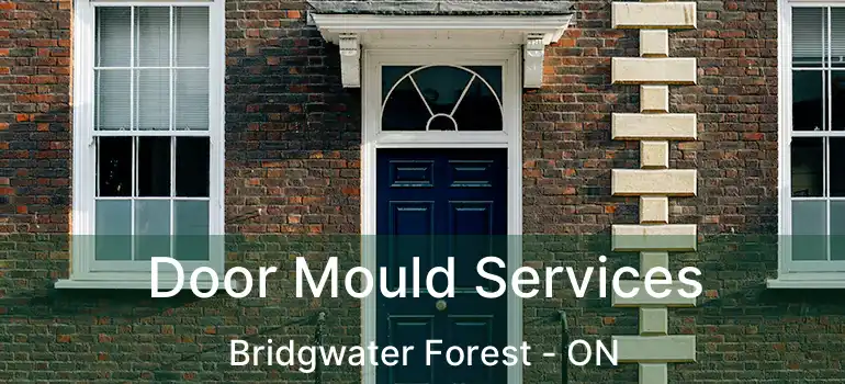  Door Mould Services Bridgwater Forest - ON