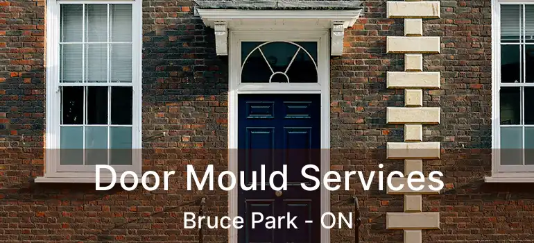  Door Mould Services Bruce Park - ON