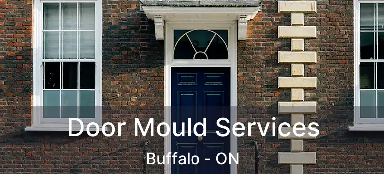  Door Mould Services Buffalo - ON