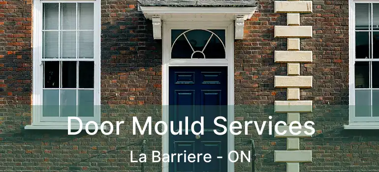  Door Mould Services La Barriere - ON