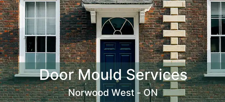 Door Mould Services Norwood West - ON