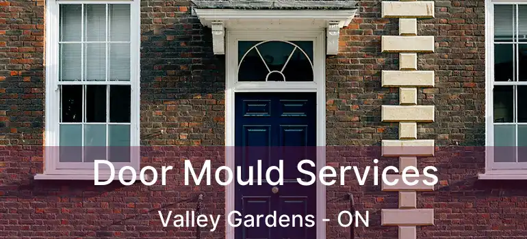  Door Mould Services Valley Gardens - ON